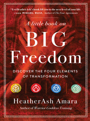 cover image of A Little Book on Big Freedom